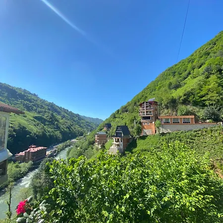 Hotel Vadidekal