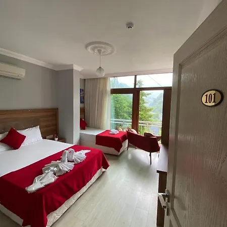 Hotel Vadidekal Camlihemsin