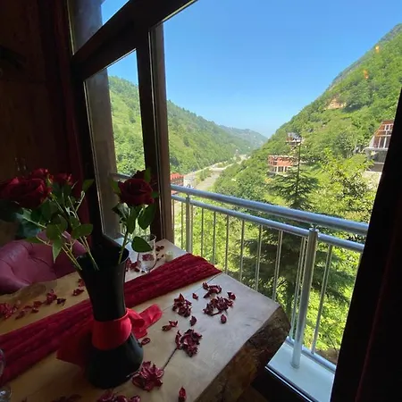 Hotel Vadidekal
