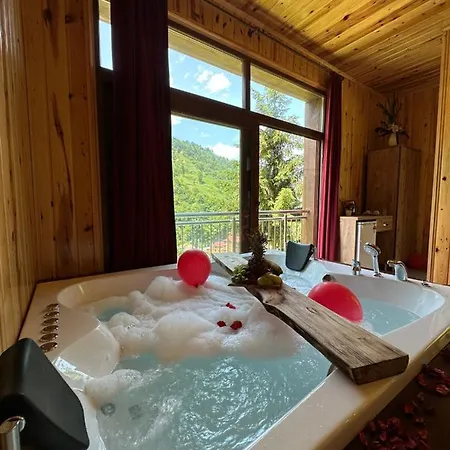Vadidekal 4*