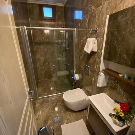 Hotel Vadidekal 4*