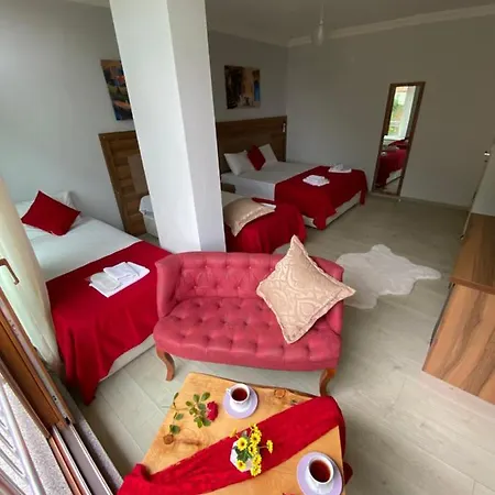 Hotel Vadidekal Camlihemsin